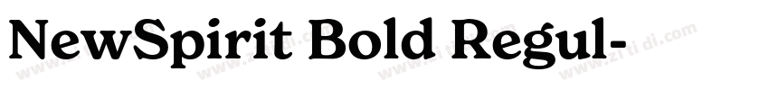 NewSpirit Bold Regul字体转换